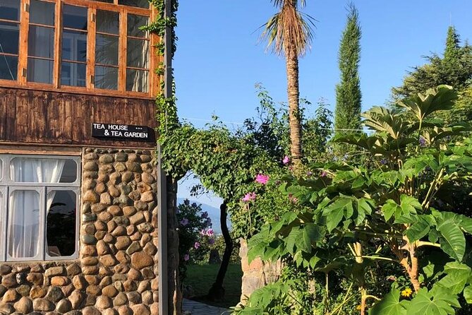 1,5 Hours Tea House and Tea Garden Trip in Ozurgeti Georgia - Should you book TABA Tea House and Tea Garden?