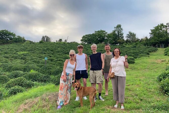 1,5 Hours Tea House and Tea Garden Trip in Ozurgeti Georgia - Three Georgian teas at the tasting table
