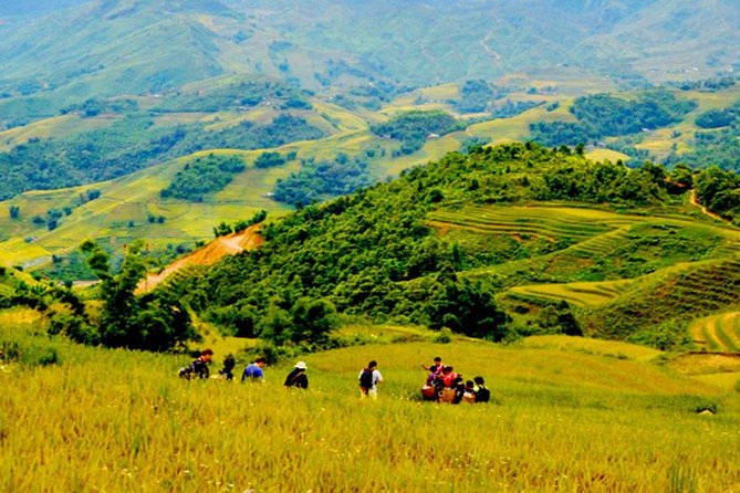 1 day Private tour Sapa trekking Y Linh Ho - Lao Chai - Ta Van (start from Sapa) - From Sapa to the Muong Hoa Valley