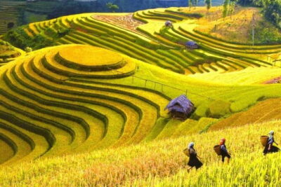1 Day Sapa Tour Explore Y Linh Ho And Lao Chai And Ta Van Village