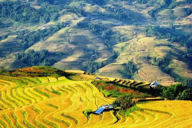 1 Day Sapa Tour Explore Y Linh Ho And Lao Chai And Ta Van Village - Practical details that affect your day