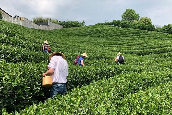 1-day Village Tea Picking, Roasting & Serving Guided Private Tour from Hangzhou - Roasting your own Dragon Well tea