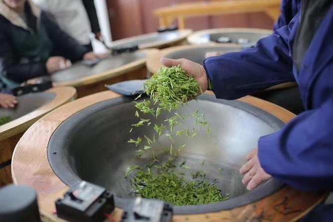 1-day Village Tea Picking, Roasting & Serving Guided Private Tour from Hangzhou - Jason and the private format