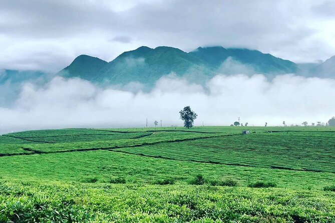 2-Day Motorbike Tour to Mu Cang Chai Loop from Sapa - Reaching Mu Cang Chai and the Mâm Xôi Hill viewpoint