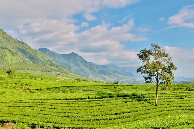 2-Day Motorbike Tour to Mu Cang Chai Loop from Sapa - Day 2 opens with La Pán Tẩn terraces