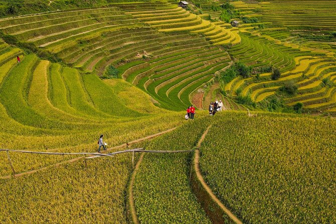 2-Day Motorbike Tour to Mu Cang Chai Loop from Sapa - A slower hour and a half in the bamboo forest