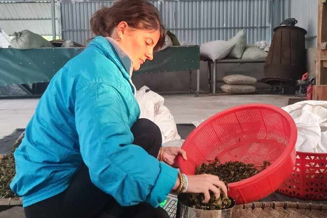2 days Ancient Tea Tour and Real Homestay West of Ha Giang - Why this Ha Giang tea trip feels different