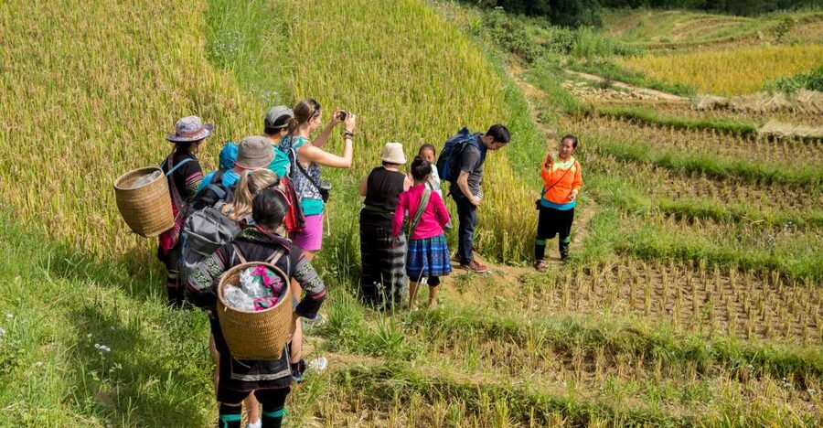 2 Night Lao Chai-Ta Van Homestay- Trekking & Fansipan Visit - Giang Ta Chai and the final morning