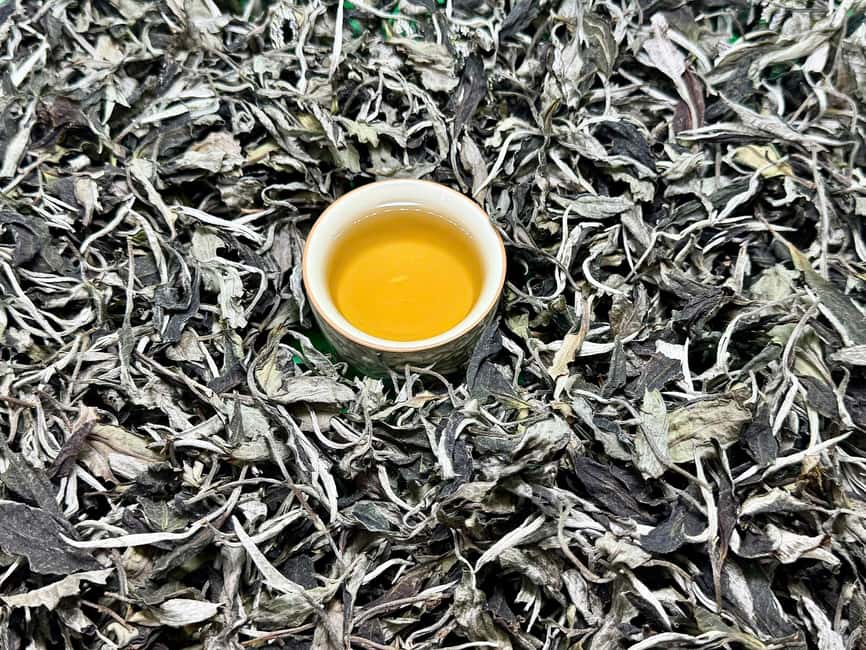 3 Hour Vietnam Tea & Egg Coffee Tasting With Train Street - A tea lesson that begins at 20 Hang Muối