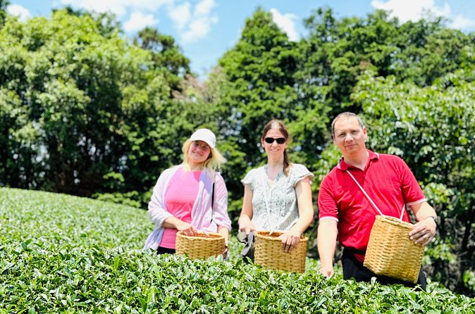 7 Hours Private Guided Tour Uji and Wazuka Matcha Farm - Is $520 per person a fair price?