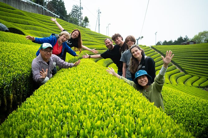 7hr Private Wazuka True Hidden Kyoto Matcha Farm Experience - Starting at Wazuka-cha Cafe at 10 a.m.