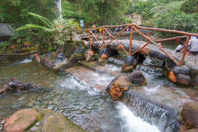 Active Volcano, Rice Field, Hot Spring, Fruit market, Tea Plantation with Lunch - Sundanese lunch, coffee production, and an honest note on extras