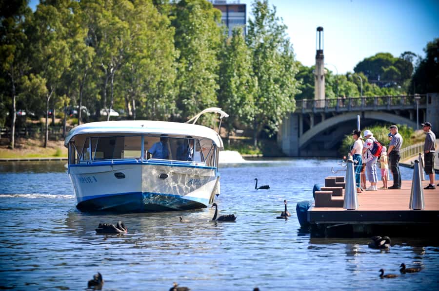 Adelaide: River Torrens Popeye Devonshire Tea Cruise - Key points to know before you book