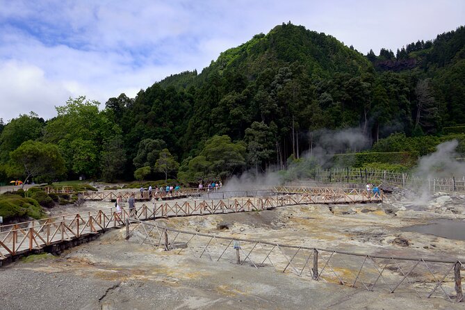 Adventure in the Furnas, with volcanoes, lagoons and tea plantations - Gorreana Tea Plantation on São Miguel’s north coast