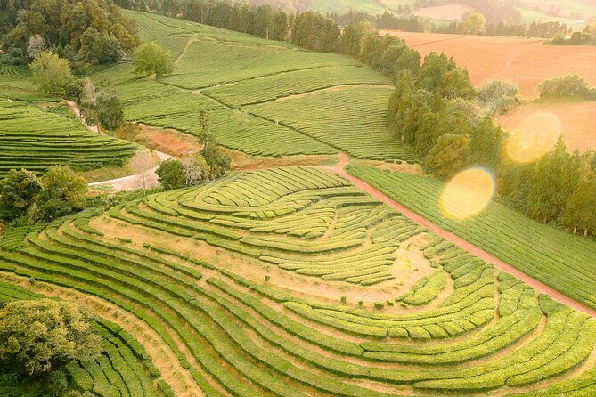 Adventure in the Furnas, with volcanoes, lagoons and tea plantations - The guides make the difference