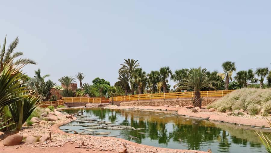 Agadir: Crocoparc Entry Ticket with Transfers, Guide, & Tea - Key points to know before booking