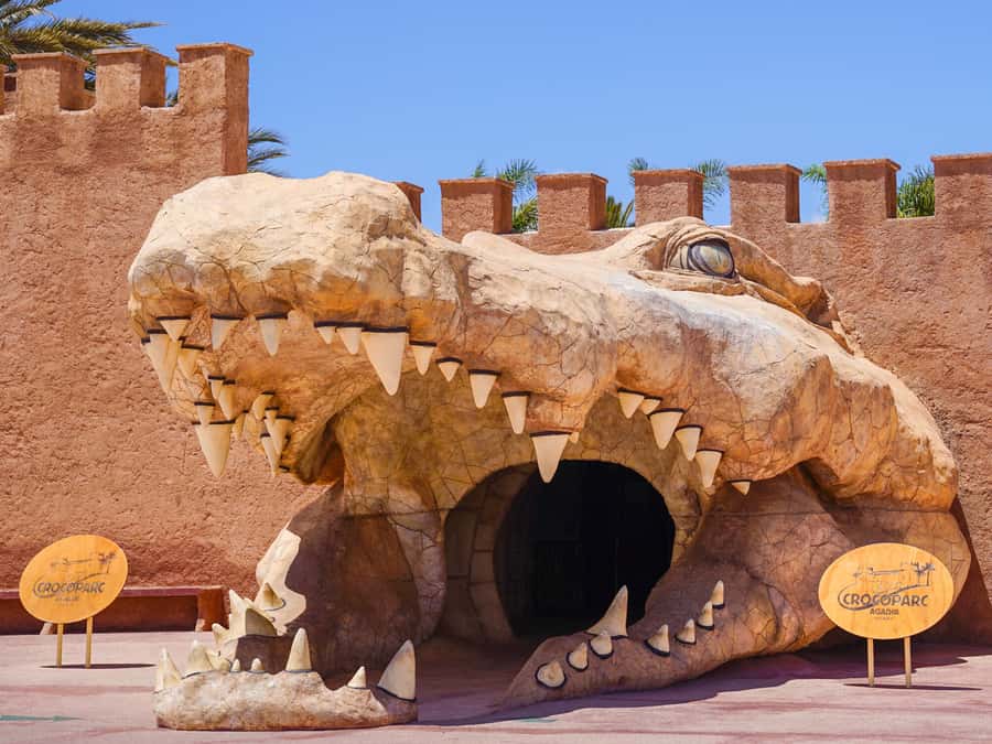 Agadir: Crocoparc Entry Ticket with Transfers, Guide, & Tea - Crocoparc is much more than a crocodile pool