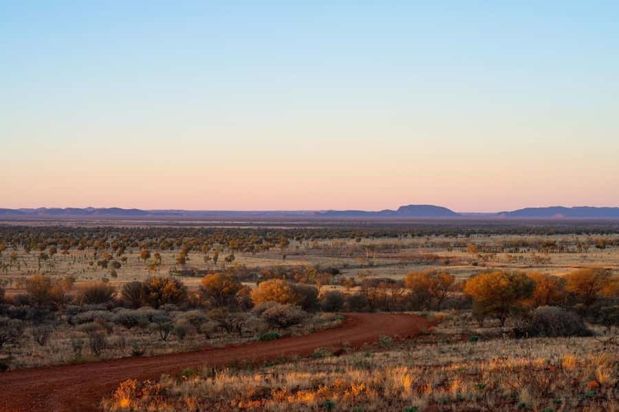 Alice Springs: Red Centre Journey Tour with Morning Tea - Ewaninga’s ancient marks in the stone