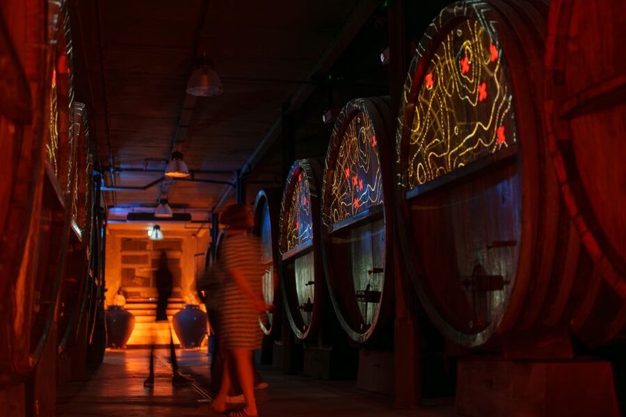 Alsatian Immersive Wine Tour, Wine Tasting & wine/tea time - Five wines and a guided tasting