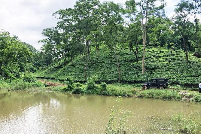 Amchong Tea Estate + Factory Visit (with Hi-tea only) - Why this short Assam tea tour works