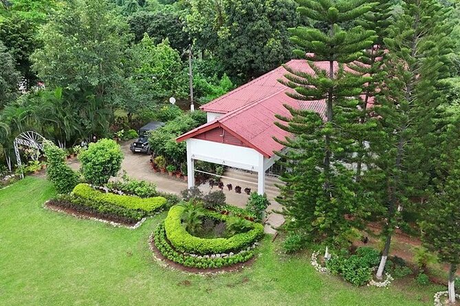 Amchong Tea Estate + Factory Visit (with Hi-tea only) - The nursery and the working tea fields