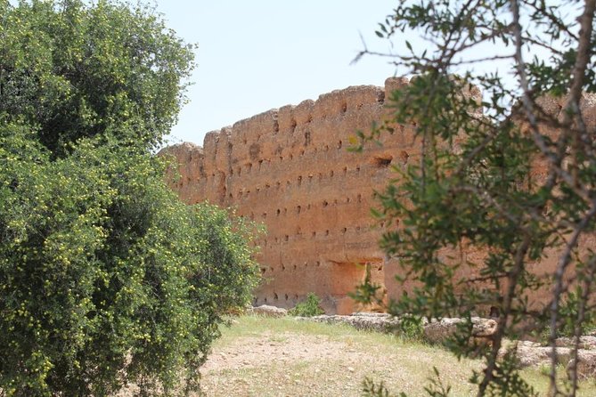 Argan Forest, tea time at a Berbers family & Visit of an Argan cooperative. - Tea with a Berber family on a farm