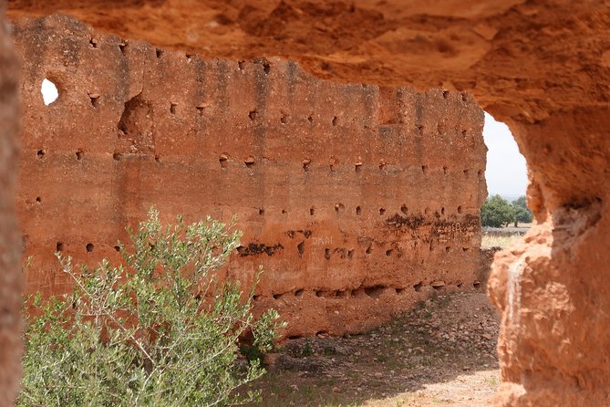 Argan Forest, tea time at a Berbers family & Visit of an Argan cooperative. - Transport, timing, and what to bring