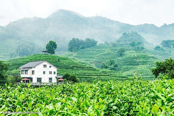 Authentic Hangzhou Longjing Tea Culture Experience Tour - Why Longjing tea is worth your morning