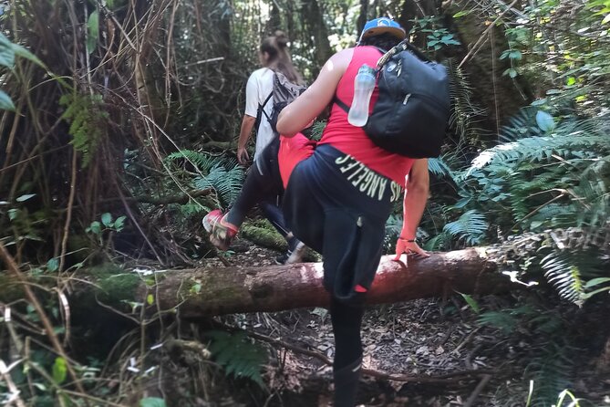Bandung Tour Volcano, Hotsprings, Mud, Tea, Lunch all Included - Rancabali tea country and the final scenic stop