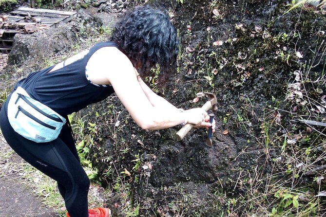 Big Island Jungle Tour with Guava Green Tea - A rainforest tour with a workshop built in