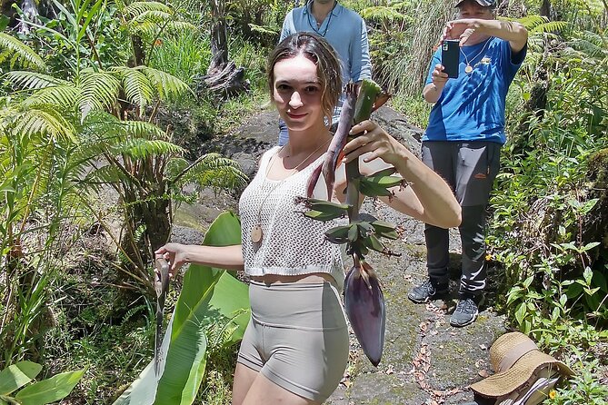 Big Island Jungle Tour with Guava Green Tea - The fern garden and tropical plant life