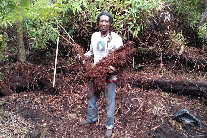 Big Island Jungle Tour with Guava Green Tea - Inside the Okina, an off-grid way of life