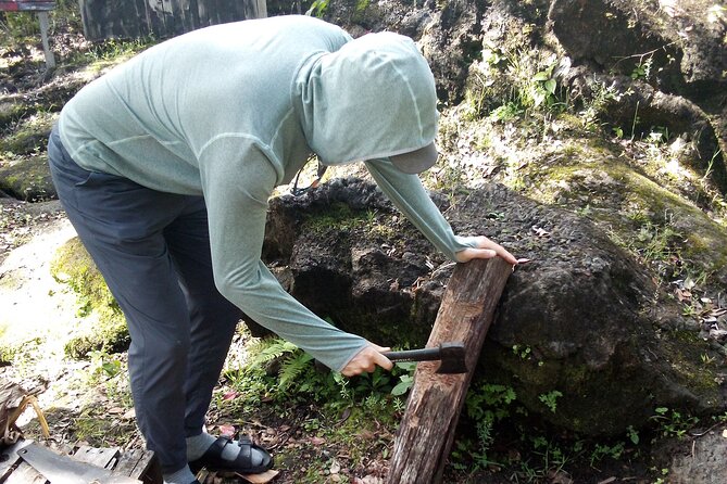 Big Island Jungle Tour with Guava Green Tea - What the $75 price gives you