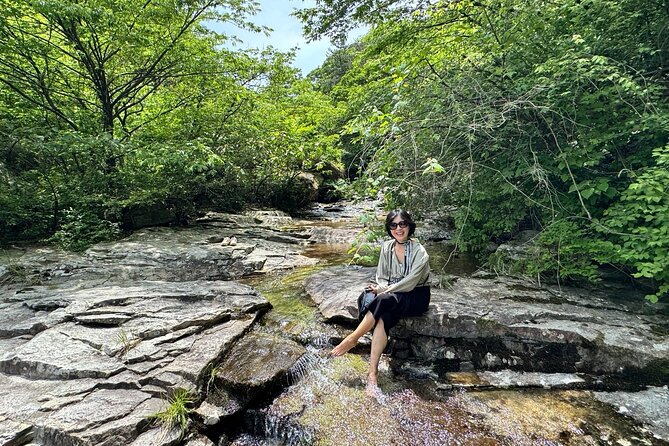 Boseong Tour : Green Tea Field, Mountain & Lake Trail (Private) - Why Boseong works so well as a day trip from Gwangju