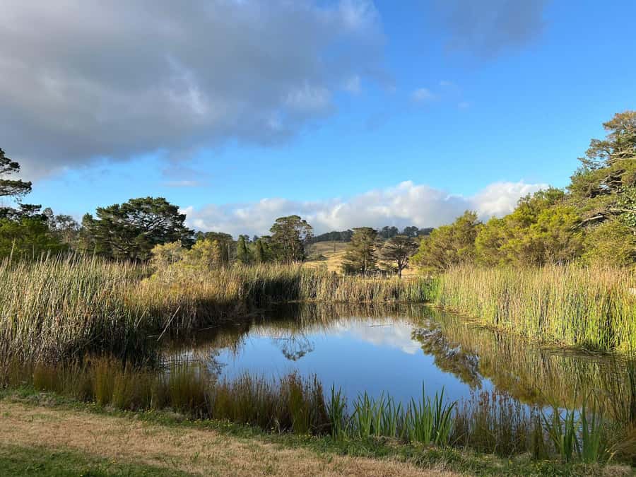 Bowral Honey Farm Tour, Honey Tasting & morning Tea - Key points to know before you book