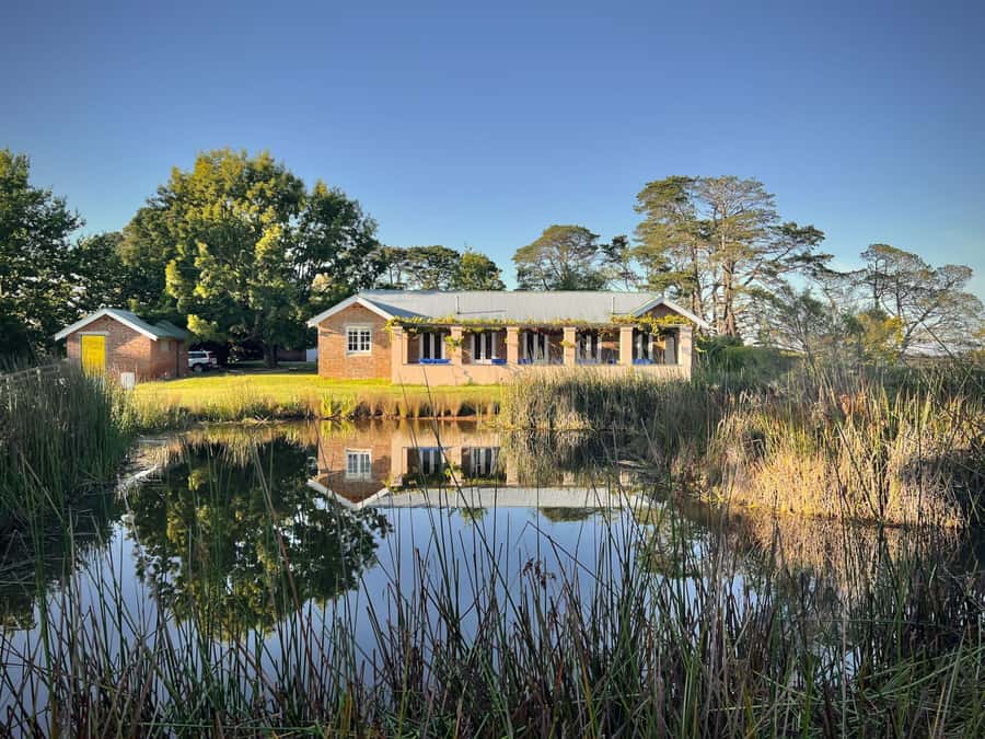 Bowral Honey Farm Tour, Honey Tasting & morning Tea - Why this small Bowral experience works