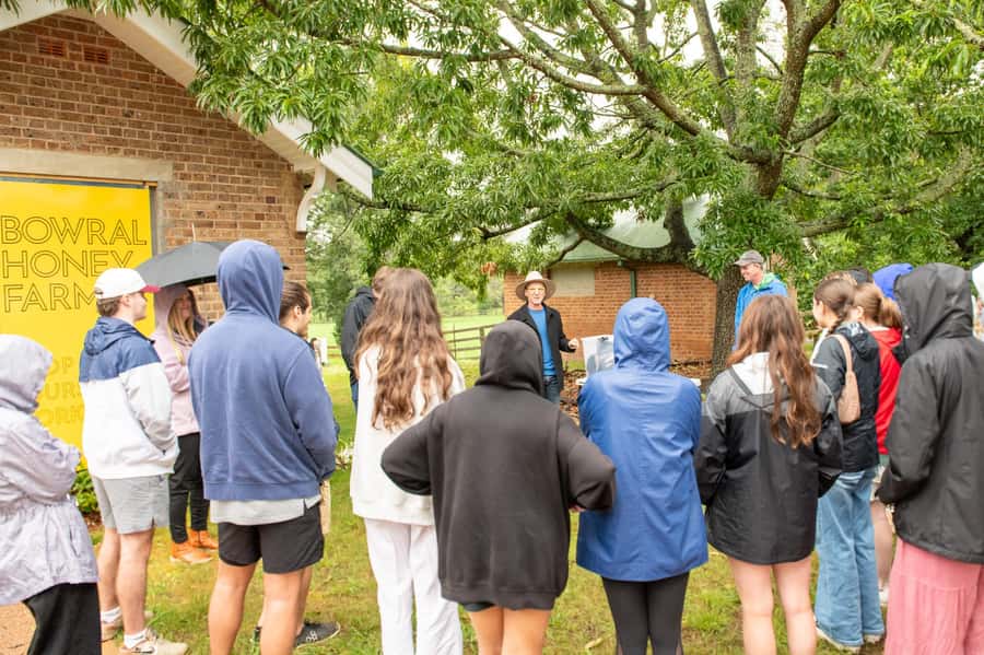 Bowral Honey Farm Tour, Honey Tasting & morning Tea - Five minutes of safety before you meet the bees