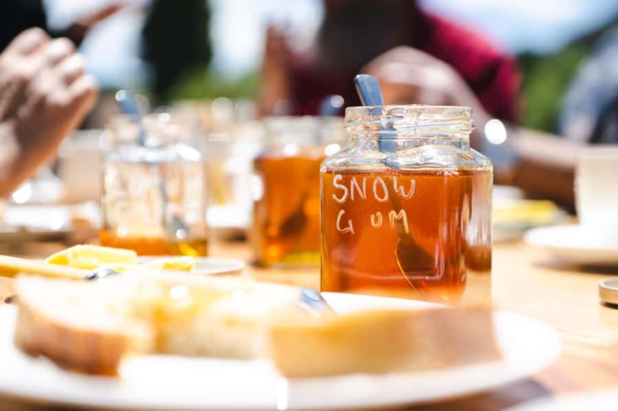 Bowral Honey Farm Tour, Honey Tasting & morning Tea - Twenty minutes beside the active hives