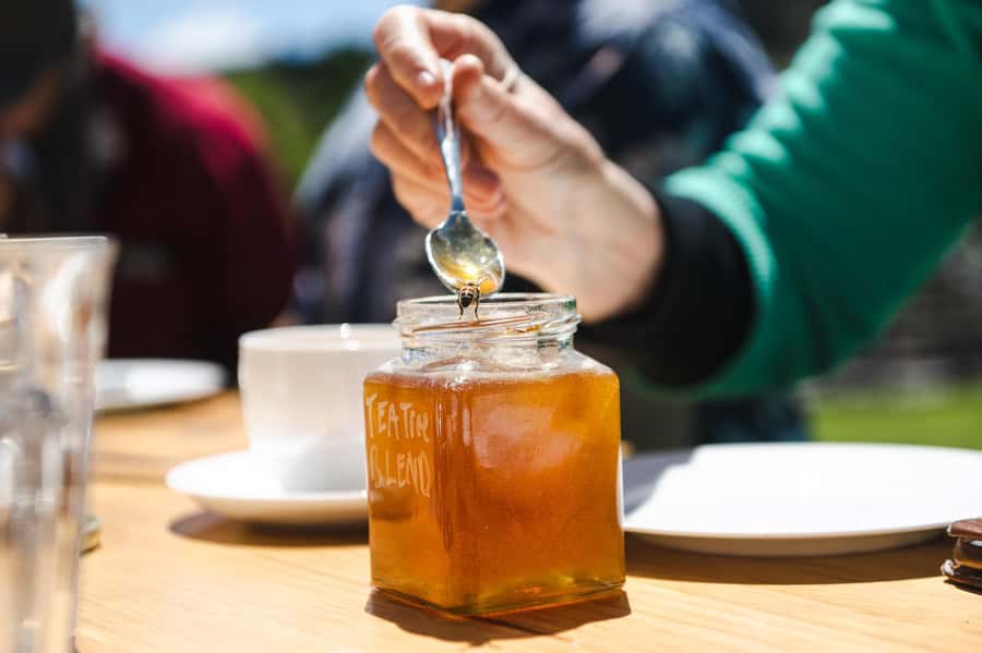 Bowral Honey Farm Tour, Honey Tasting & morning Tea - Fifteen minutes with a Flow Hive