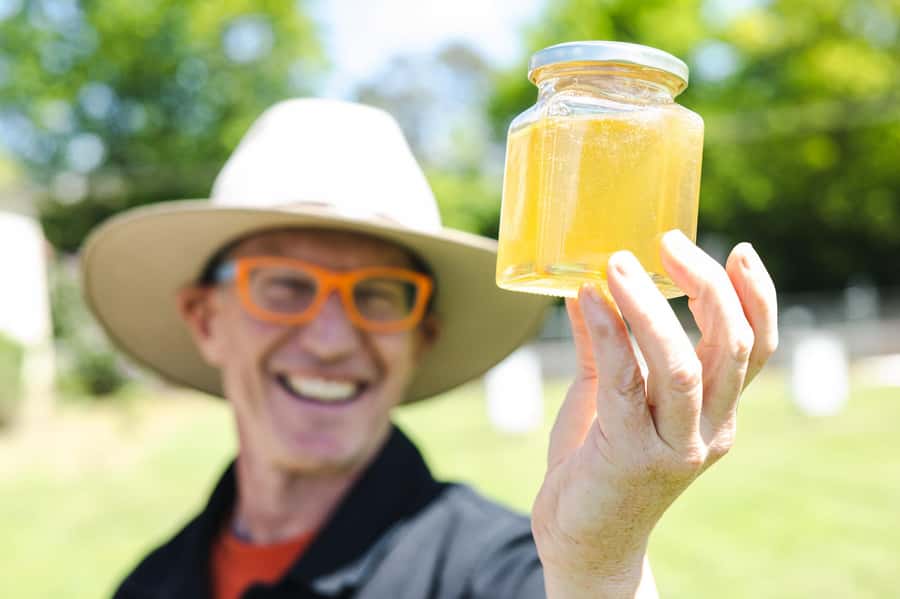 Bowral Honey Farm Tour, Honey Tasting & morning Tea - Twenty minutes comparing local honeys