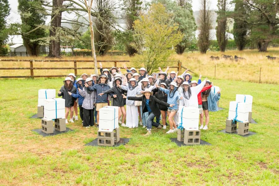Bowral Honey Farm Tour, Honey Tasting & morning Tea - Is $29 good value for one hour?