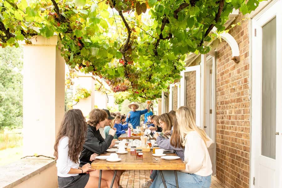 Bowral Honey Farm Tour, Honey Tasting & morning Tea - Arriving at Retford Park and finding the hives