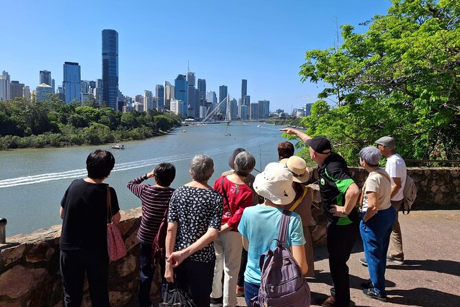 Brisbane Bus Tour: Max 10 people | Half Day | Morning tea inc. - Taking in the view from Mount Coot-tha Summit