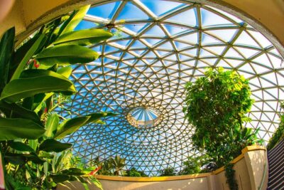 Brisbane Bus Tour: Max 10 people | Half Day | Morning tea inc.