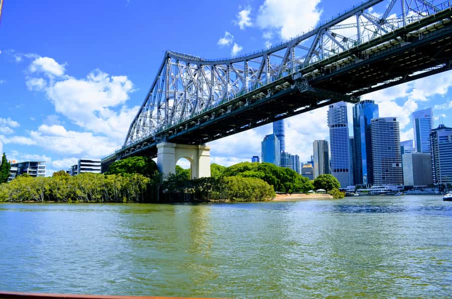 Brisbane: Morning Sightseeing Cruise: 10:30am-12pm (90min) - Key points to know before you book