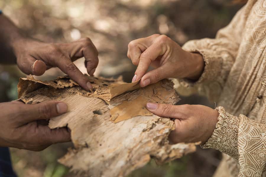 Bundaberg: Half Day Indigenous Experience with Morning Tea - How the $74 price works for your day