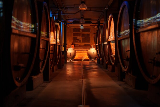 Cellar visit and "Wine time" (Tea Time around wine) - How the experience compares with a standard wine tasting