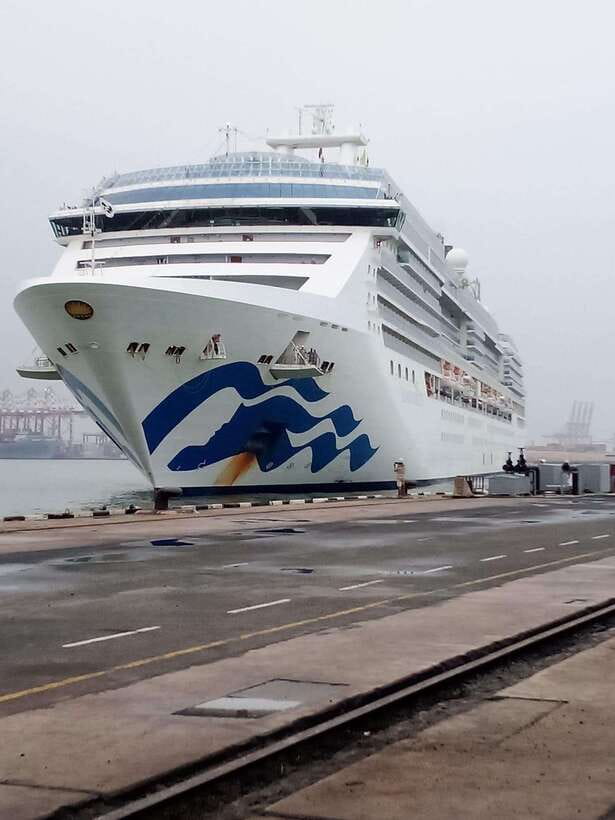 Ceylon Tea Experience from Colombo Port Passenger Terminal - Key points to know before you book