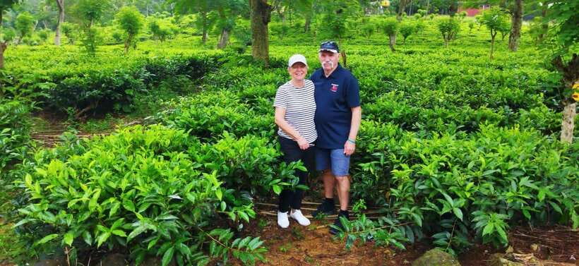 Ceylon Tea Experience from Colombo Port Passenger Terminal - From Colombo Port to Sri Lankan village country