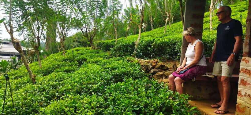 Ceylon Tea Experience from Colombo Port Passenger Terminal - What the village route adds